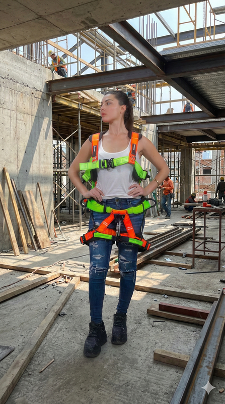 ARNESES DE SEGURIDAD