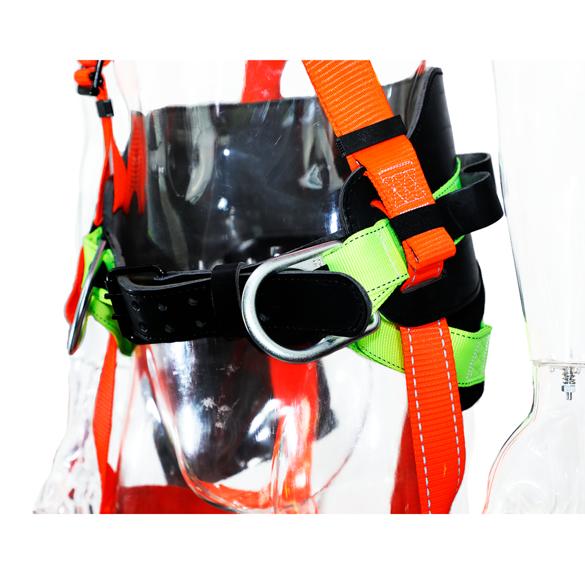 Arnés 1996-CN/Multiusos de 3 anillos