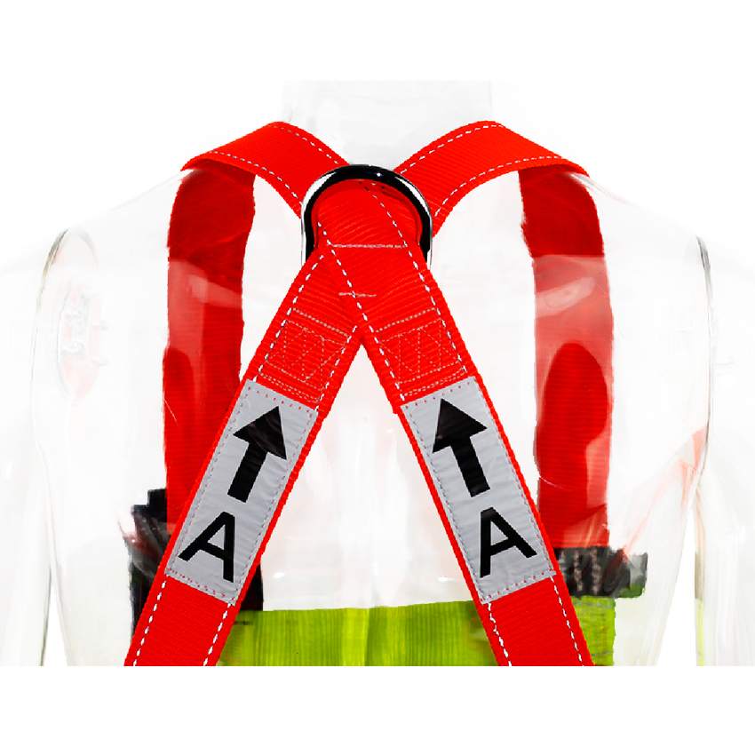 Arnés 1996-CN/Multiusos de 3 anillos